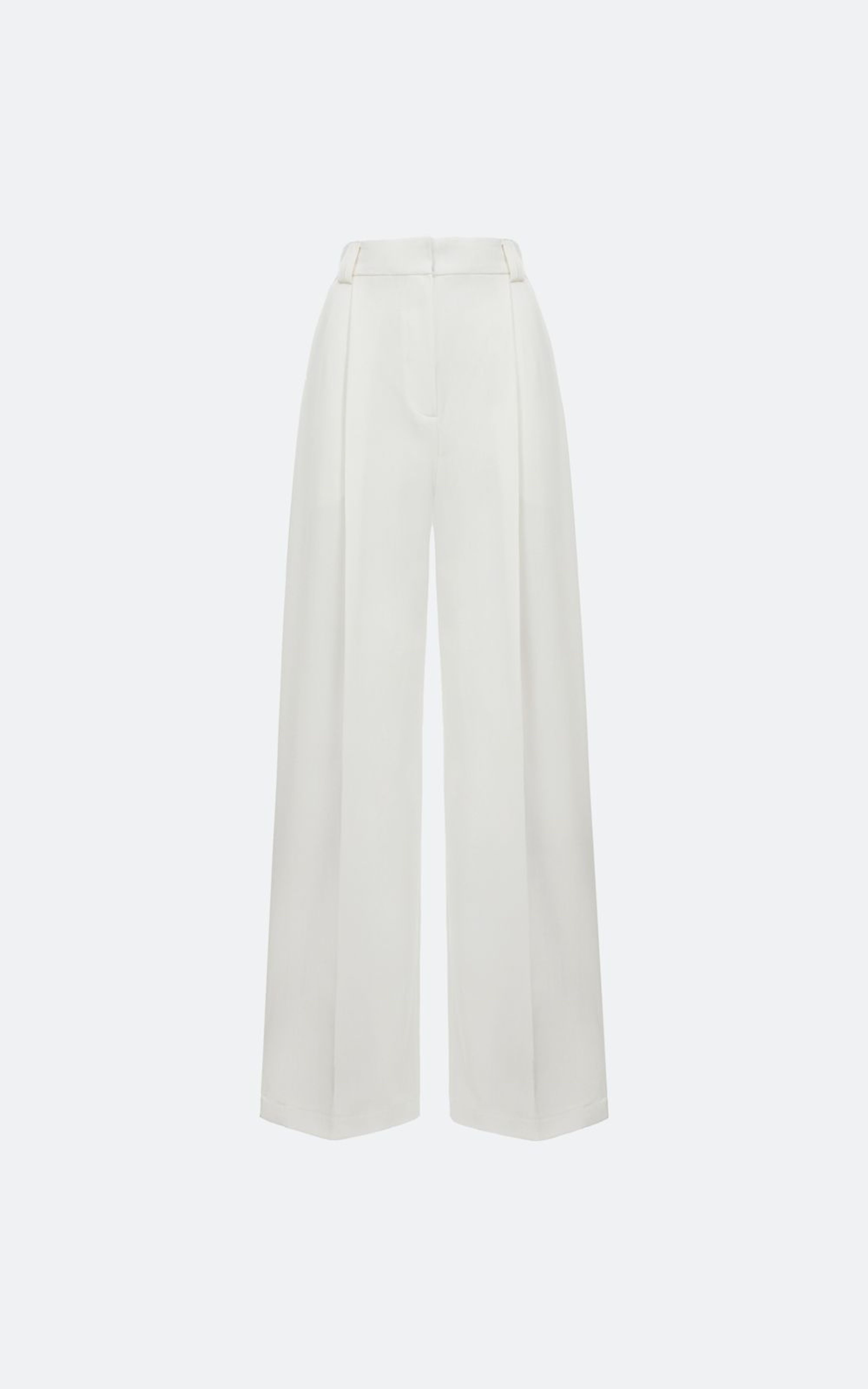 Wide-Leg Pants with Structural Pleats