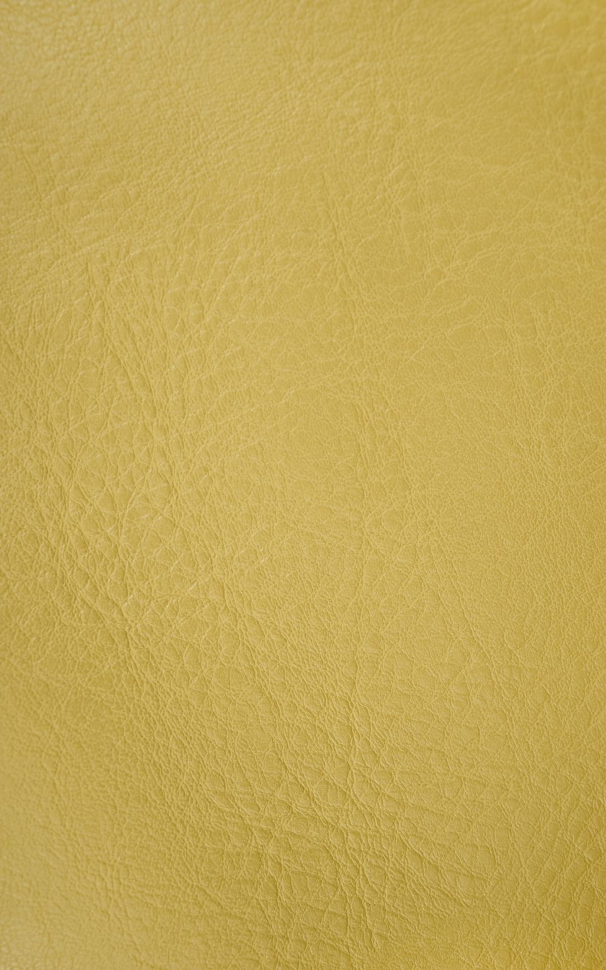 SIGNATURE Bomber Jacket with Stand Collar