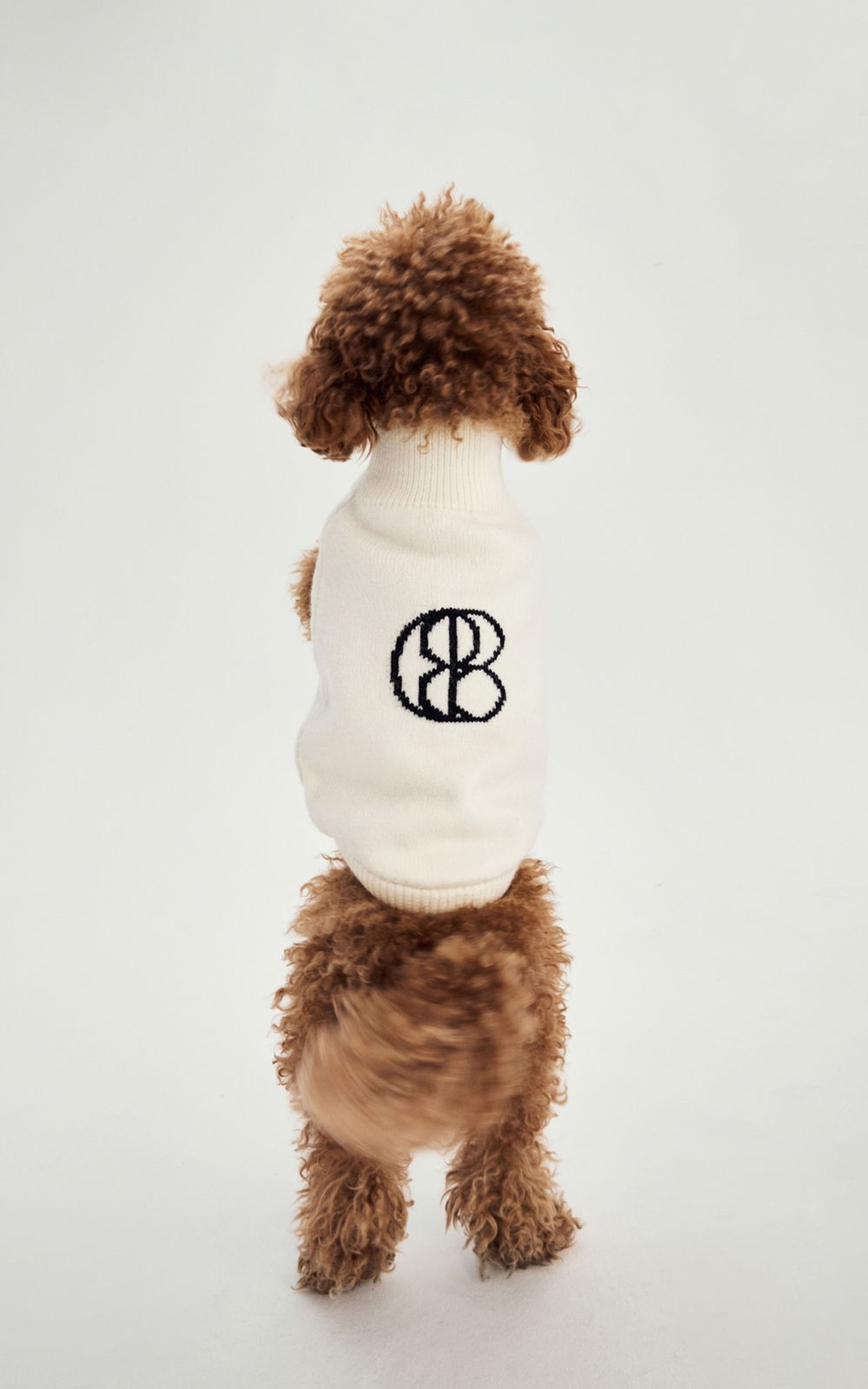 Светр вовняний для собаки