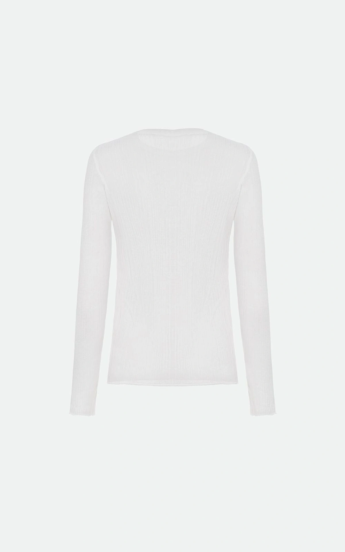 Sheer Longsleeve