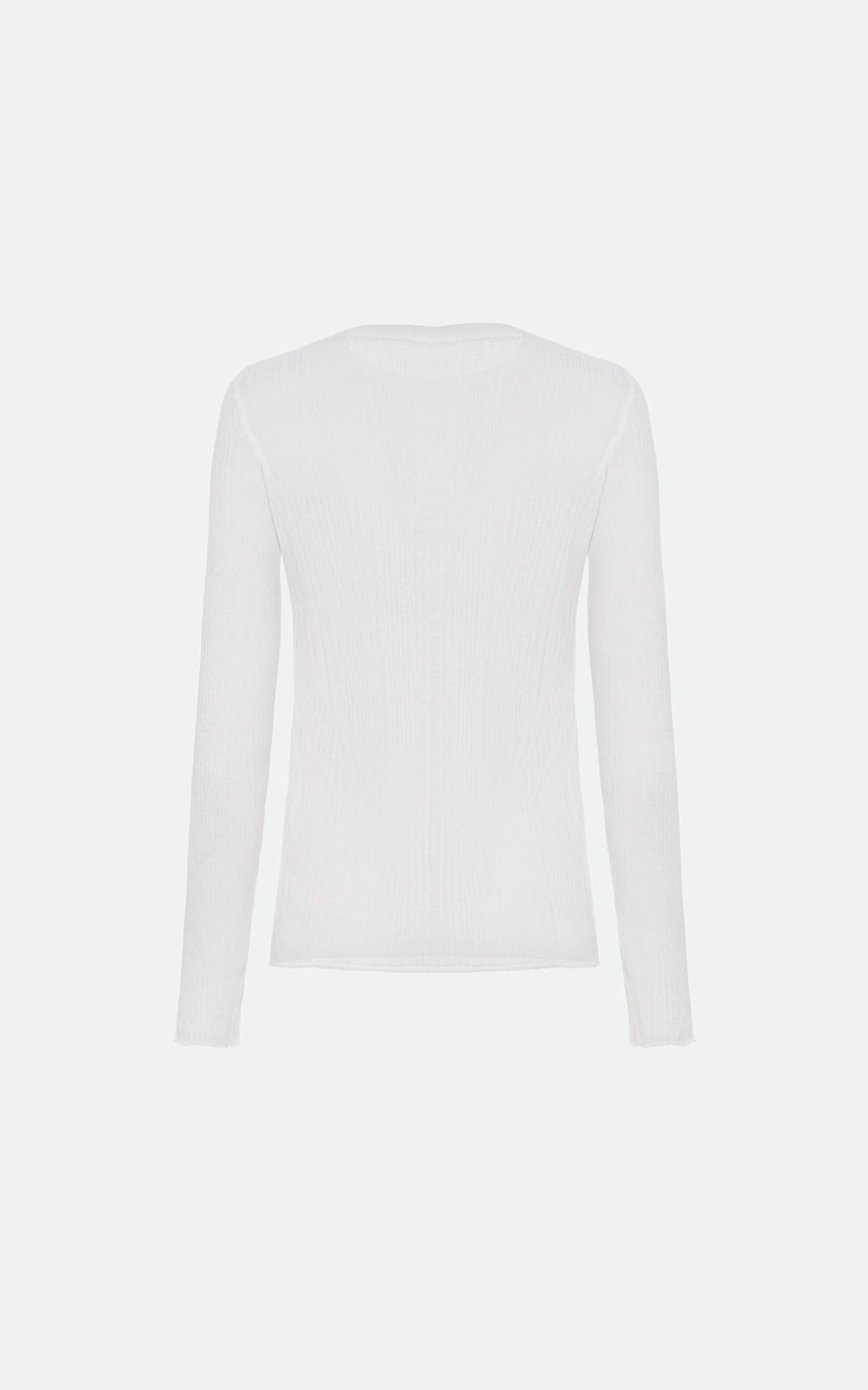 Sheer Longsleeve