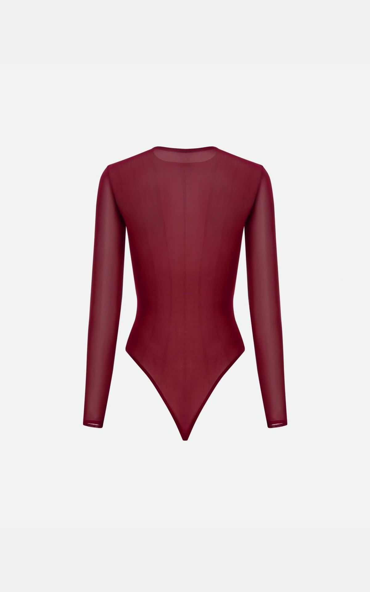 Accent Seams ALIS Sheer Bodysuit 