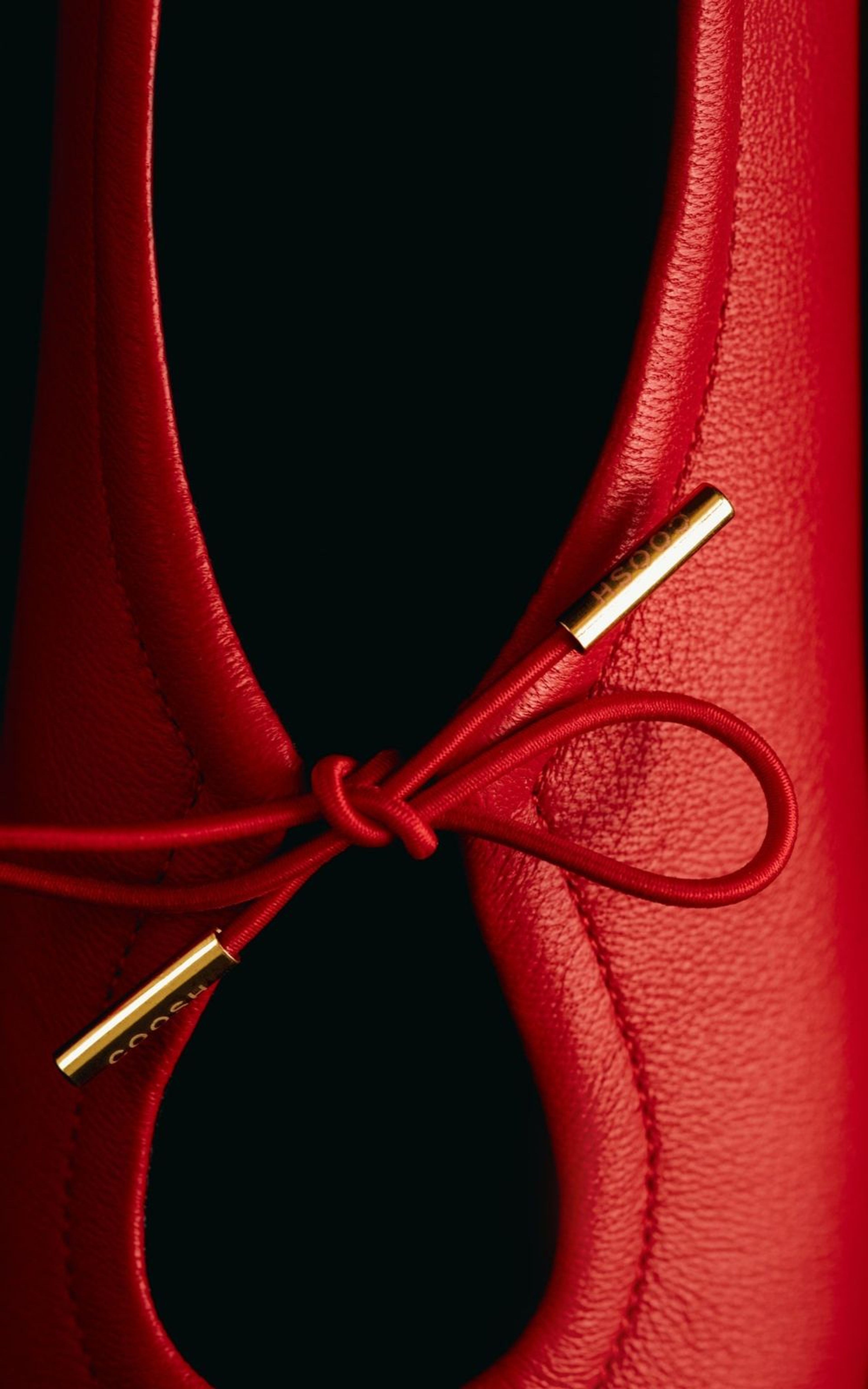 Lace-up Leather Ballet Flats AMELIE