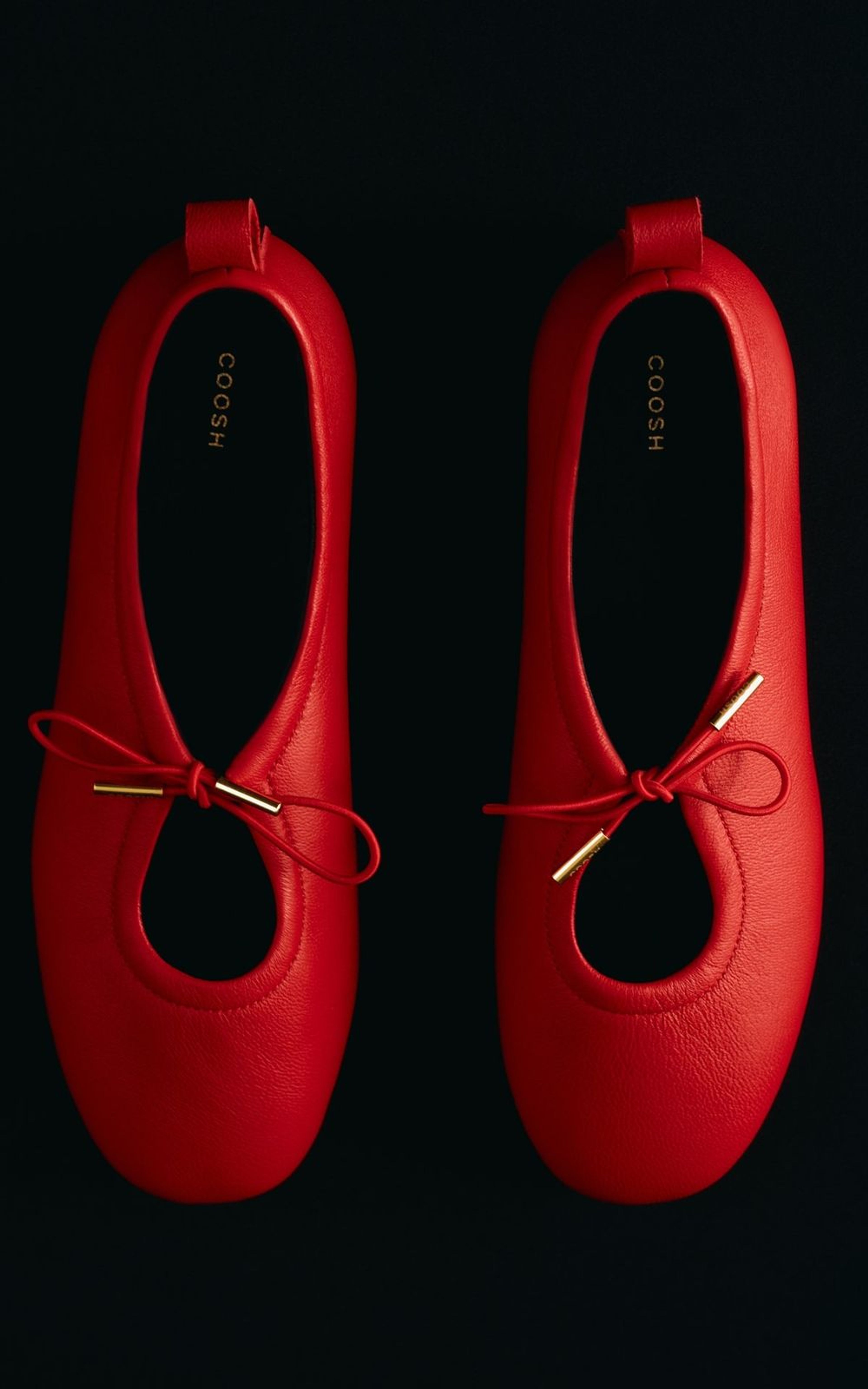 Lace-up Leather Ballet Flats AMELIE