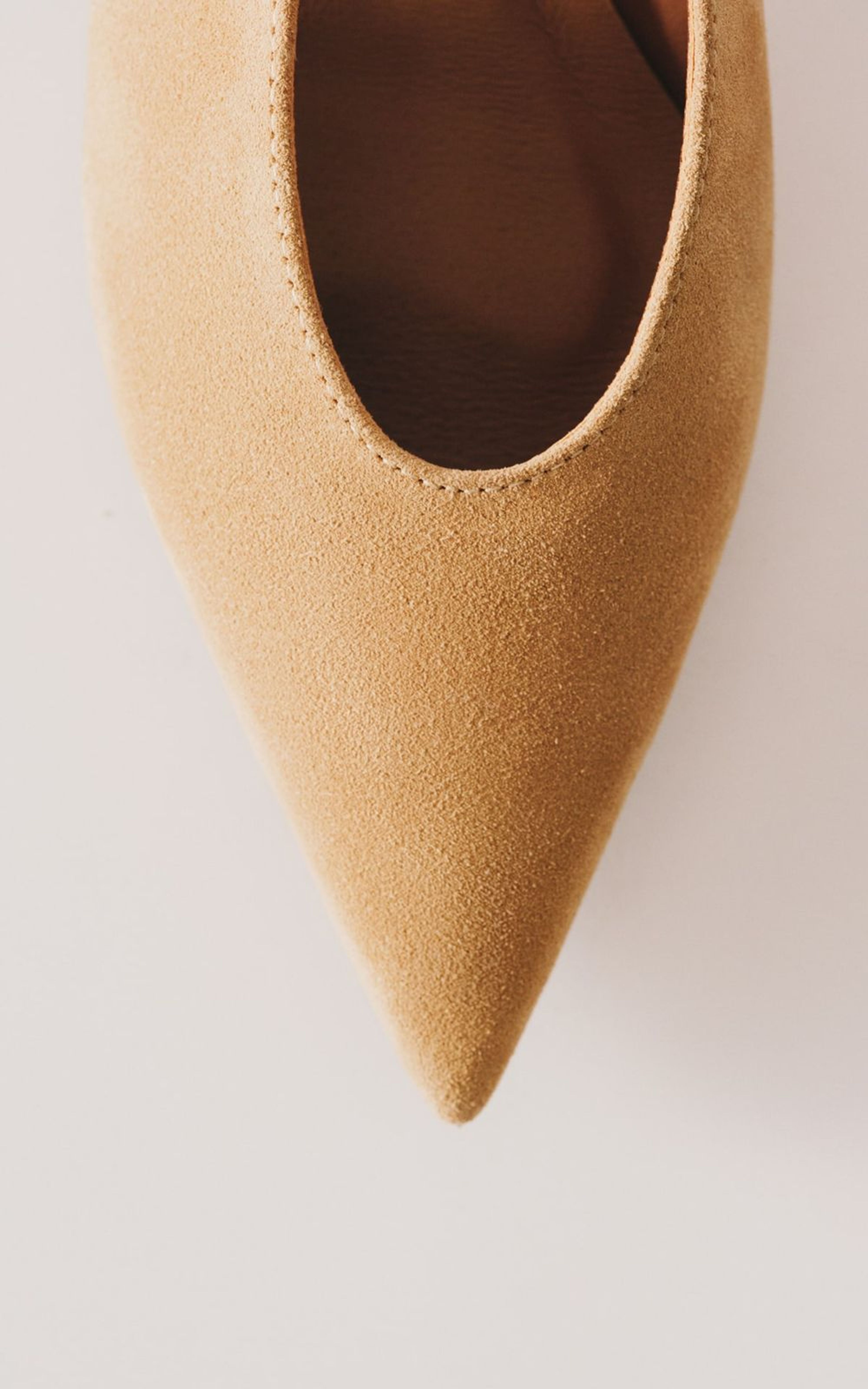 CONSTANCE Suede Slingbacks with Pointed Toe